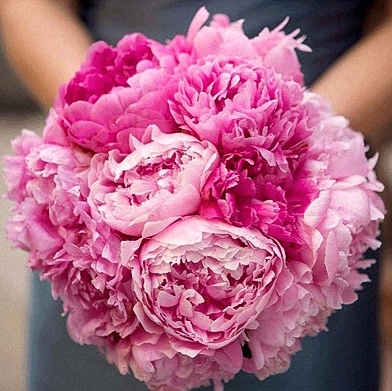 Fuchsia & pink, a two tone Peony bouquet