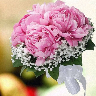 Bouquet with pink Peonies