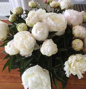 Bouquet with white Peonies