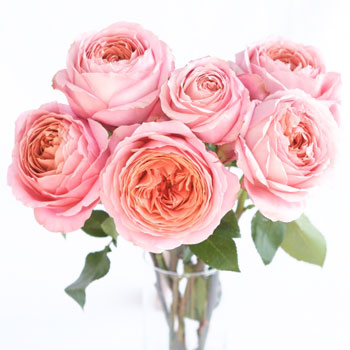 Vase Gift with Romantic Antike Garden Rose