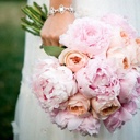Peonies & Garden Roses Combo Package
